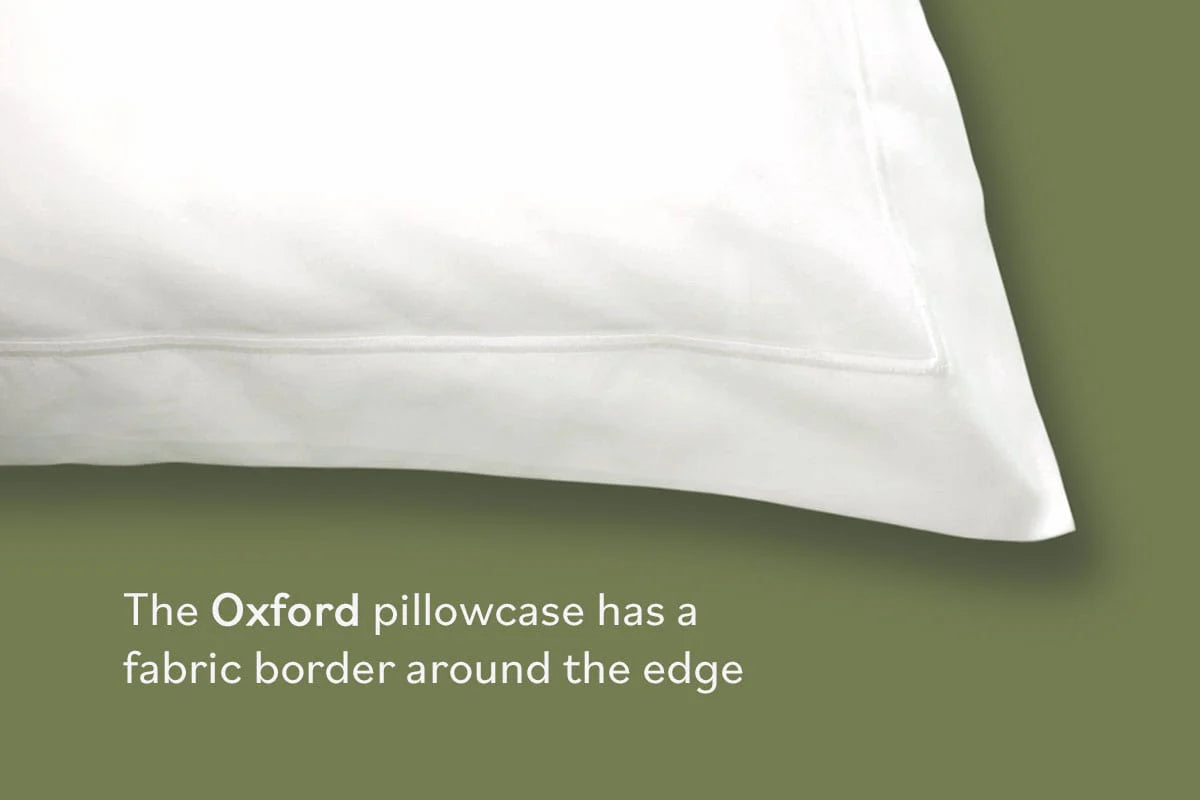 Luxury 19 Momme Mulberry Silk Pillowcase - 100% Pure Silk, Gift Boxed